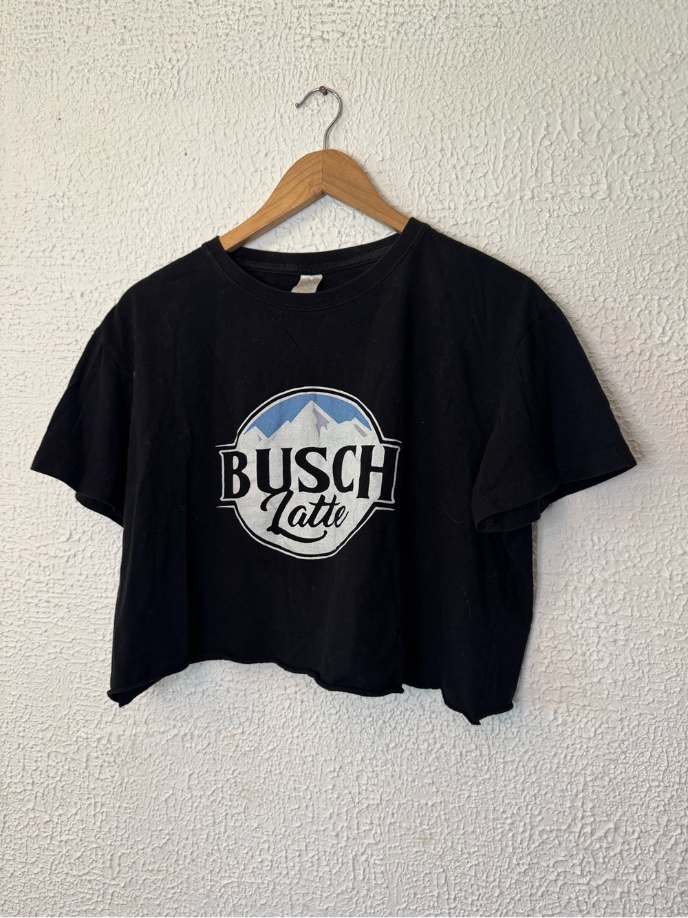 Hanes Black Tee with Mountain Graphic and Blue Accent